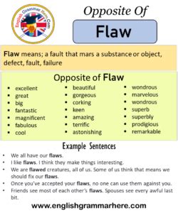 flaws synonym|flaw synonyms and antonyms.